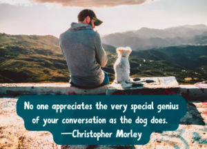 Dog-Best-Friend-Quotes