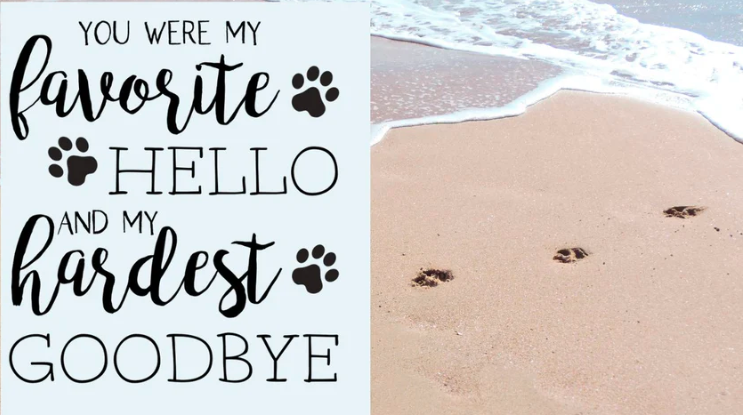 Dog Passing Away Quotes