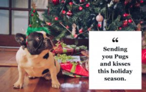 dog-christmas-quotes