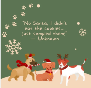 dog-christmas-quotes