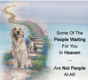 dog-heaven-quotes