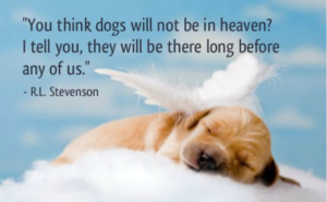 dog-heaven-quotes