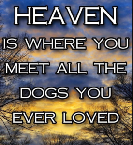 dog-heaven-quotes