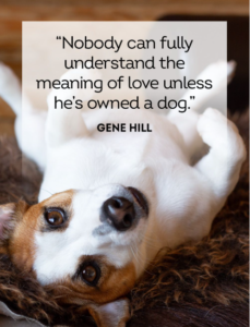 dog-humor-quotes