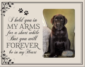 dog-memorial-quotes