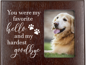 dog-memorial-quotes