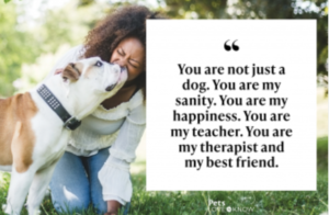 dog-mom-quotes