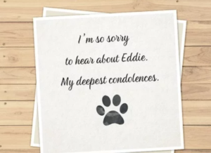 dog-sympathy-quotes