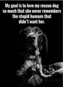 rescue-dog-quotes