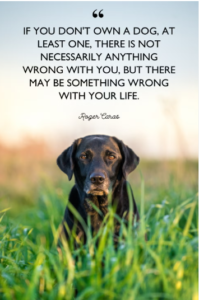 dog-family-quotes