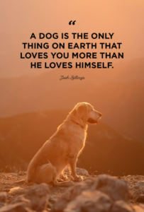 dog-family-quotes