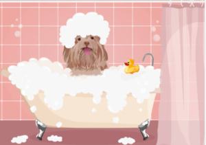 dog-grooming-quotes