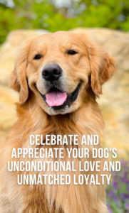 dog-loyalty-quotes