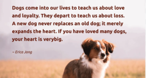 dog-loyalty-quotes
