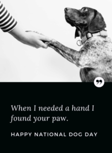 national-dog-day-quotes