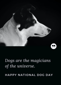national-dog-day-quotes