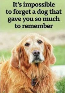 rip-dog-quotes