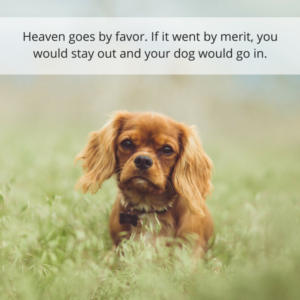 rip-dog-quotes