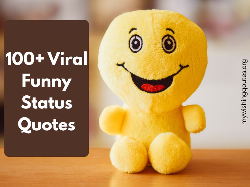 funny status quotes